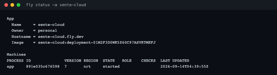 fly status の実画面。machine が started、volume sente_data が接続されている